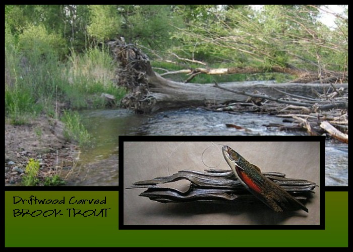 Wildlife Intentions: Hooked brook